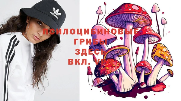 ECSTASY Алексеевка
