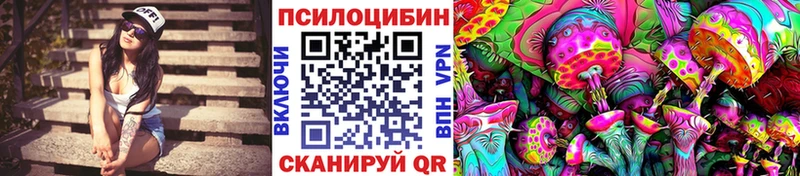 маркетплейс как зайти Чехов Галлюциногенные грибы Psilocybine cubensis